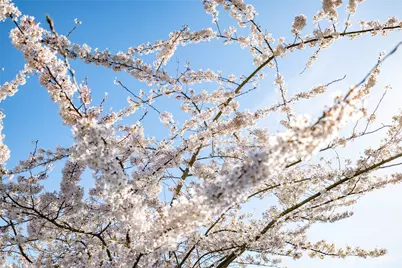 17150 Theodorson Lane, Mount Vernon, WA 98273 - Photo 21