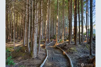 417 E Compass Street, Pacific Beach, WA 98571 - Photo 25