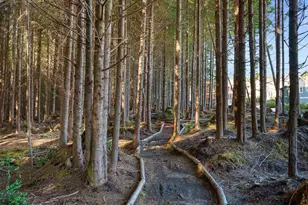 417 E Compass St, Pacific Beach, WA 98571 - Photo 25