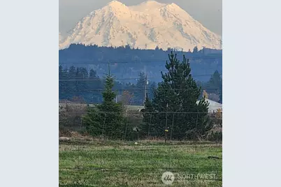 16826 Sheldon Lane SW, Rochester, WA 98579 - Photo 3