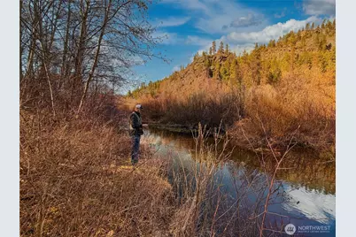 1721 Aeneaws Valley Road, Tonasket, WA 98855 - Photo 3