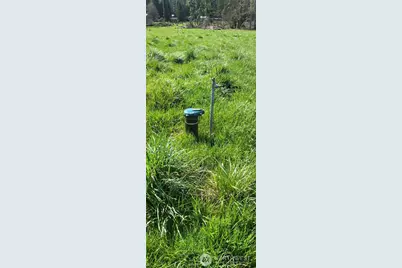 444 Meier Road, Winlock, WA 98596 - Photo 13