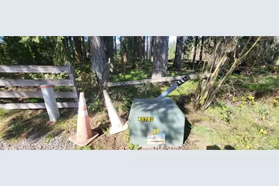 444 Meier Road, Winlock, WA 98596 - Photo 9