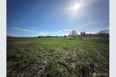 0 Clearbrook Road, Sumas, WA 98295 - Photo 13