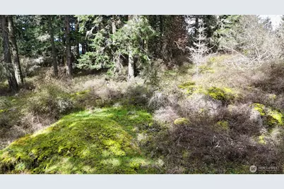 0 Egg Lake Road, Friday Harbor, WA 98250 - Photo 7