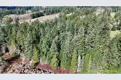 0 Egg Lake Road, Friday Harbor, WA 98250 - Photo 5