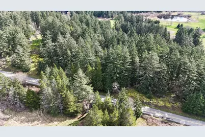 0 Egg Lake Road, Friday Harbor, WA 98250 - Photo 3