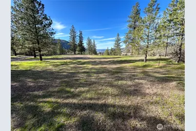 38800 E Sand Flats, Davenport, WA 99122 - Photo 7