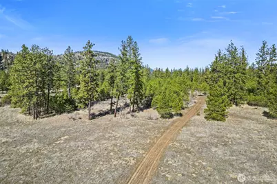 38800 E Sand Flats, Davenport, WA 99122 - Photo 13