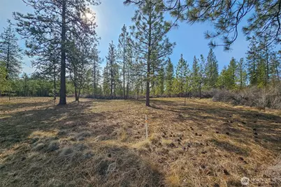 38800 E Sand Flats, Davenport, WA 99122 - Photo 9