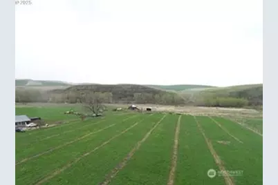 54884 Day Road, Milton-Freewater, OR 97862 - Photo 7