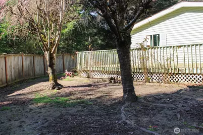 521 NE Larson Lake Rd, Belfair, WA 98528 - Photo 29