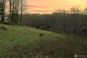 185 Coronet Dr, Ariel, WA 98603 - Photo 21