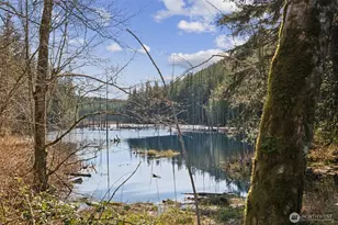 32707 349th Way SE, Ravensdale, WA 98051 - Photo 33