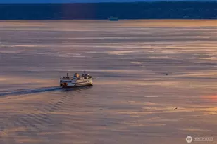 583 Battery St, Seattle, WA 98121 - Photo 23