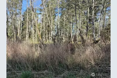 0 Lot 21 Ander Park Road, Freeland, WA 98249 - Photo 3