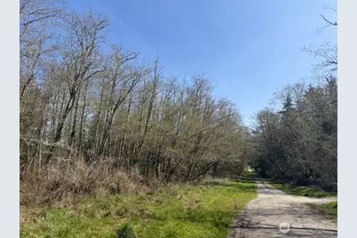 0 Lot 2 Ander Park Road, Freeland, WA 98249 - Photo 1