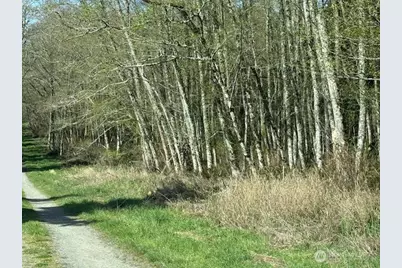 0 Lot 2 Ander Park Road, Freeland, WA 98249 - Photo 3