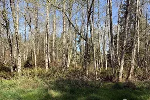 0 Lot 15 Ander Park Rd, Freeland, WA 98249 - Photo 1