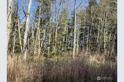 0 Lot 15 Ander Park Road, Freeland, WA 98249 - Photo 3