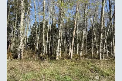 0 Lot 18 Ander Park Road, Freeland, WA 98249 - Photo 1