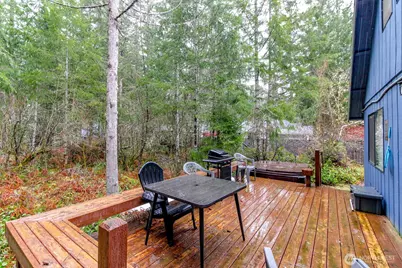 101 Mountain View Dr, Ashford, WA 98304 - Photo 29