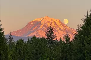 14608 A P Tubbs Rd E, Buckley, WA 98321 - Photo 39