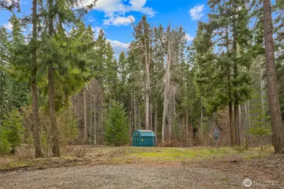 91 Blue Spruce Drive, Easton, WA 98925 - Photo 9