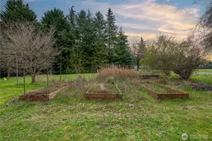 9719 52nd Ave E, Tacoma, WA 98446 - Photo 29