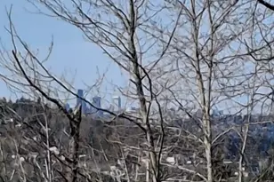 1321 S Puget Dr, Renton, WA 98055 - Photo 19