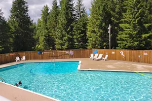 41 N Picnic Dr NW, Lilliwaup, WA 98555 - Photo 31