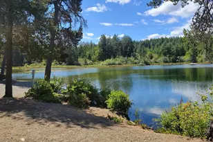41 N Picnic Dr NW, Lilliwaup, WA 98555 - Photo 35