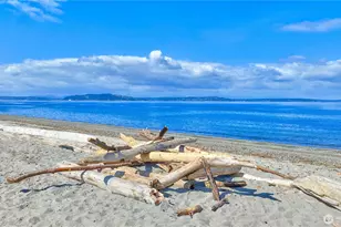 1708 Alki Ave SW, Seattle, WA 98116 - Photo 29