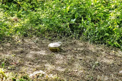 28215 SE 216th Street, Maple Valley, WA 98038 - Photo 11