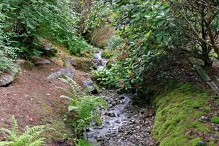 2668 E Lake Sammamish Pkwy NE, Sammamish, WA 98074 - Photo 37