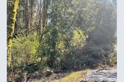 5505 78th Avenue NW, Gig Harbor, WA 98335 - Photo 31