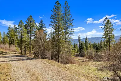 6 Forest Ridge (Lot 6) Drive, Cle Elum, WA 98922 - Photo 9