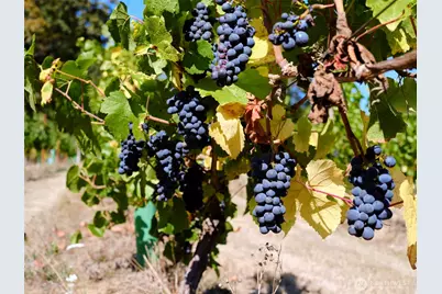 11700 NE 279th Street, Battle Ground, WA 98604 - Photo 33