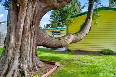 20908 59th Place W, Lynnwood, WA 98036 - Photo 19