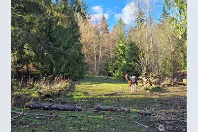 16827 NE 24th Place, Snohomish, WA 98290 - Photo 11