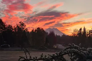 16100 159th Ln SE, Yelm, WA 98597 - Photo 25