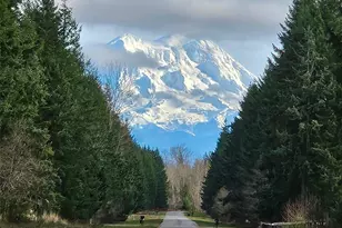 16100 159th Ln SE, Yelm, WA 98597 - Photo 23