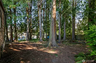 2324 Madison St, Everett, WA 98203 - Photo 9