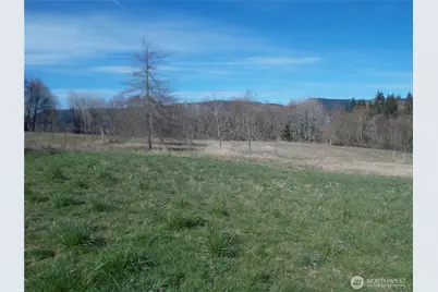 150 Elk Ridge Road, Mossyrock, WA 98564 - Photo 11