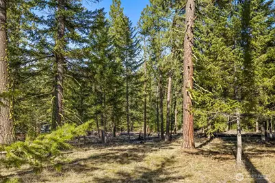 80 Wanawish Loop, Cle Elum, WA 98940 - Photo 17