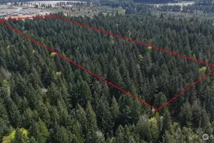 12642 170th Ave Ct E, Bonney Lake, WA 98391 - Photo 5