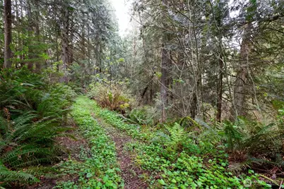 23655 Bulson Road, Mount Vernon, WA 98274 - Photo 39