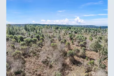 17908 16th Street SW, Longbranch, WA 98349 - Photo 3