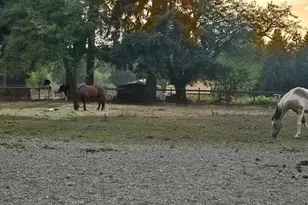 8106 Spurgeon Creek Rd SE, Olympia, WA 98503 - Photo 29