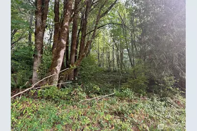 0 Tr 2&3 E Agate Road, Shelton, WA 98584 - Photo 9